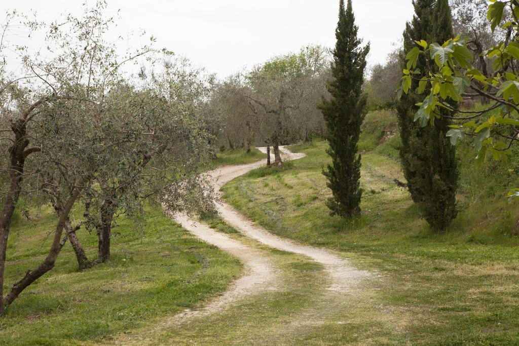 Agriturismo Borgo Personatina Sovicille Extérieur photo